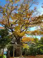 愛宕神社(福島県)