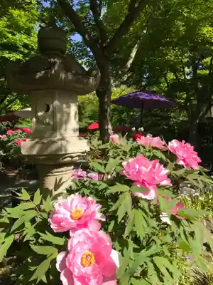宝徳寺(群馬県)
