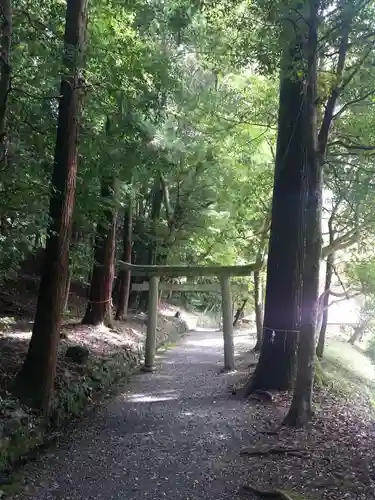 出雲大神宮の鳥居