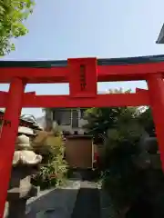 駒竹稲荷神社の鳥居