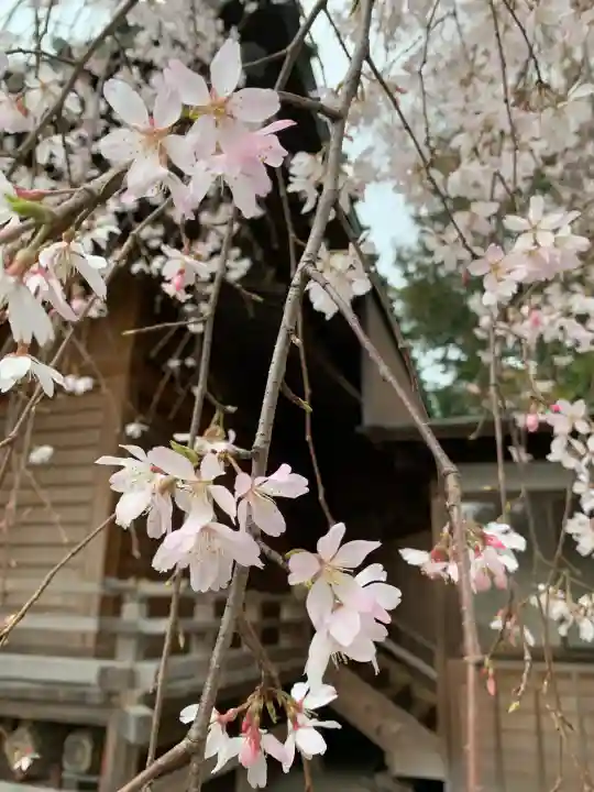 深見神社の{uncategorized: "未分類", other: "その他", undefined: "問題あり", building: "その他建物", grave: "お墓", sacred_gate: "鳥居", guardian: "狛犬", statue: "像", buddha: "仏像", history: "歴史", nature: "自然", garden: "庭園", animal: "動物", pagoda: "塔", temizu: "手水舎", mountain_gate: "山門・神門", sanctuary: "本殿・本堂", subordinate: "末社・摂社", art: "芸術", scenery: "景色", jizo: "地蔵", ema: "絵馬", goshuin: "御朱印", omikuji: "おみくじ", items: "授与品その他", amulet: "お守り", goshuincho: "御朱印帳", eats: "食事", festival: "お祭り", votive_dance: "神楽", shichigosan: "七五三参", wedding: "結婚式", experience: "体験その他", initially: "初詣", around: "周辺", anti_infection: "感染症対策"}