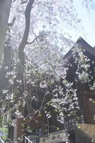 子安神社の自然