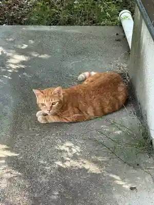 鳥海山大物忌神社吹浦口ノ宮(山形県)