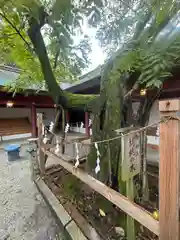 笠間稲荷神社(茨城県)