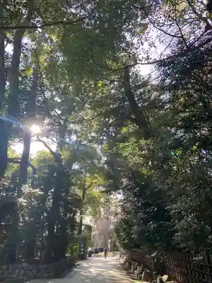 寒川神社(神奈川県)