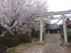 今宮八幡宮の鳥居