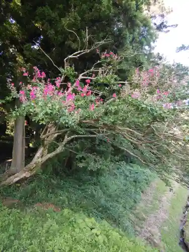 鹿島大神宮の庭園