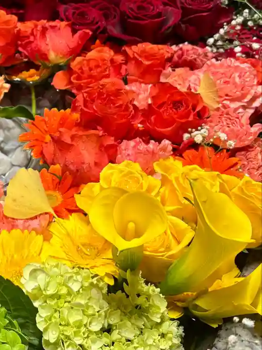 札幌諏訪神社の手水舎