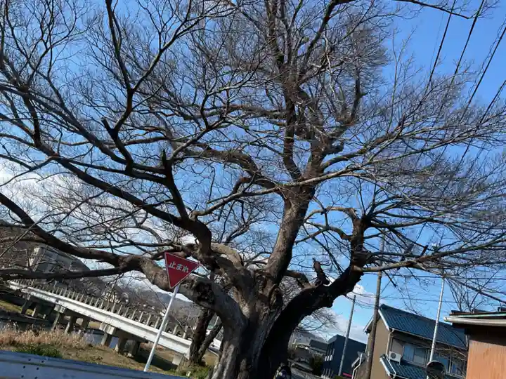 若宮八幡社(愛知県)