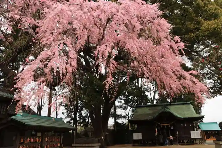 三島八幡神社の本殿・本堂