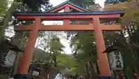 日吉大社の鳥居