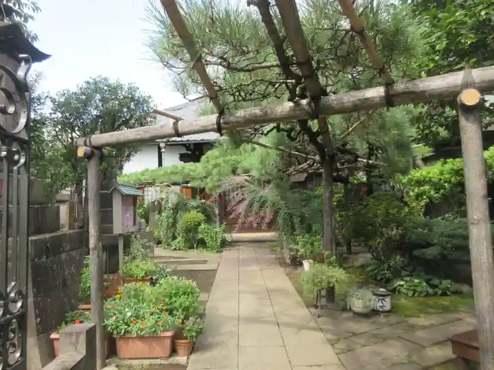 妙情寺(東京都)