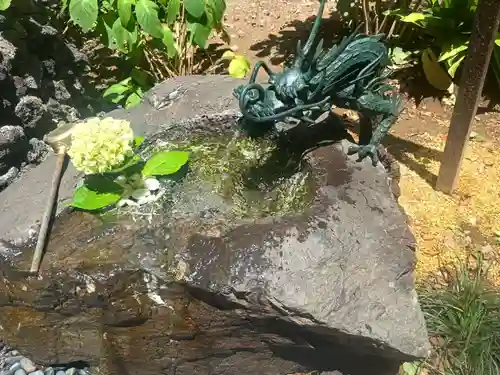 川越八幡宮(埼玉県)