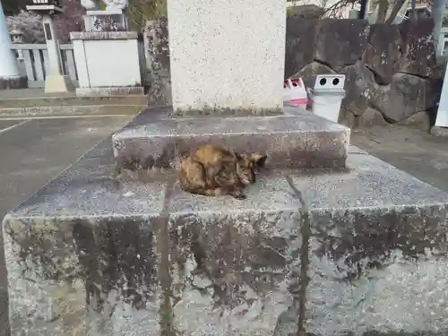 山梨縣護國神社の動物
