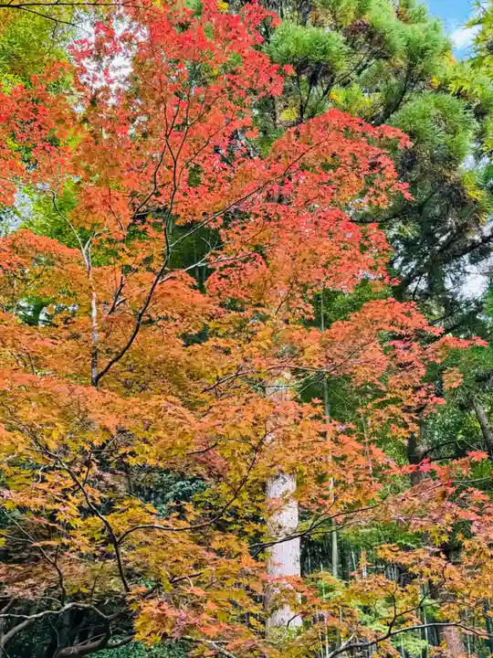 今熊野観音寺(京都府)