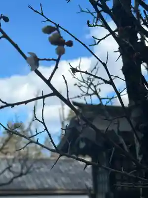 群馬県護国神社(群馬県)