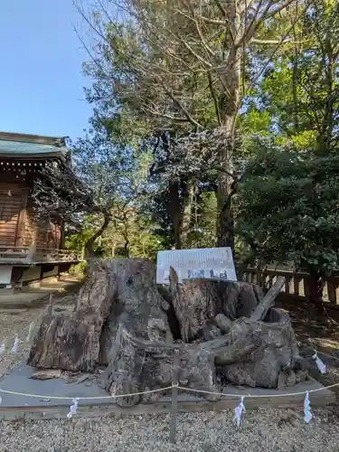 布多天神社(東京都)
