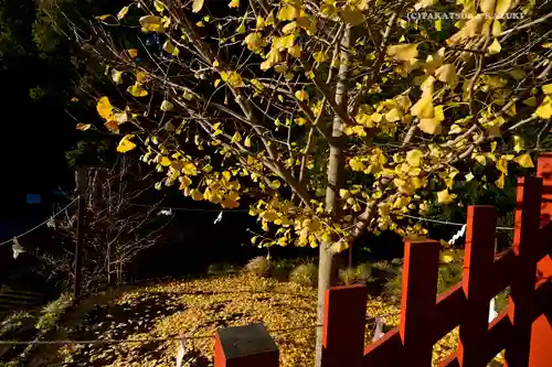 鶴岡八幡宮のその他建物