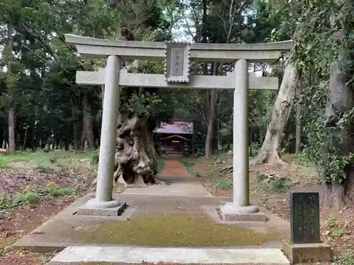 六社神社の鳥居