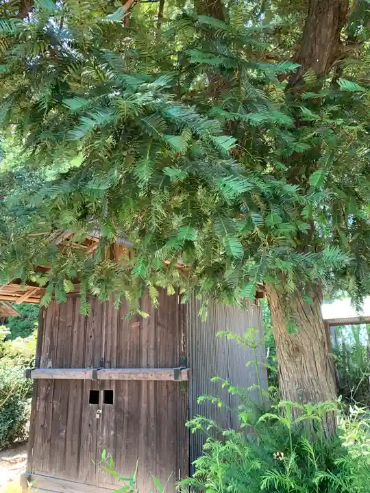 大杉神社のその他建物