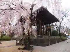 増上寺の建物その他