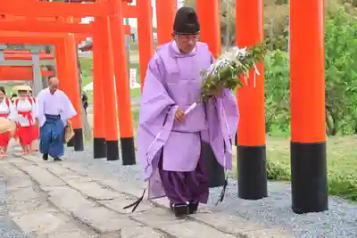 高屋敷稲荷神社のお祭り