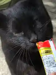 王子神社の動物