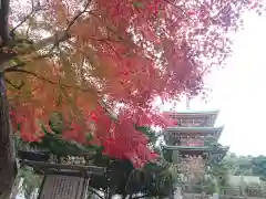 随念寺(愛知県)