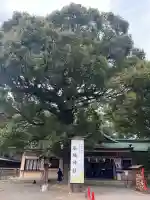 真清田神社の{uncategorized: "未分類", other: "その他", undefined: "問題あり", building: "その他建物", grave: "お墓", sacred_gate: "鳥居", guardian: "狛犬", statue: "像", buddha: "仏像", history: "歴史", nature: "自然", garden: "庭園", animal: "動物", pagoda: "塔", temizu: "手水舎", mountain_gate: "山門・神門", sanctuary: "本殿・本堂", subordinate: "末社・摂社", art: "芸術", scenery: "景色", jizo: "地蔵", ema: "絵馬", goshuin: "御朱印", omikuji: "おみくじ", items: "授与品その他", amulet: "お守り", goshuincho: "御朱印帳", eats: "食事", festival: "お祭り", votive_dance: "神楽", shichigosan: "七五三参", wedding: "結婚式", experience: "体験その他", initially: "初詣", around: "周辺", anti_infection: "感染症対策"}