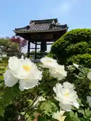 長昌院(埼玉県)