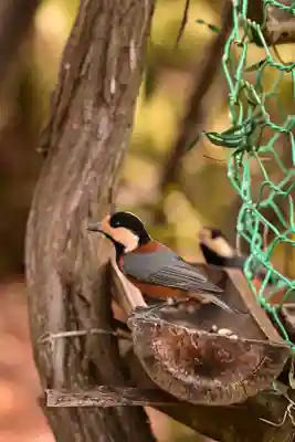 峯神社(大麻比古神社奥宮)(徳島県)