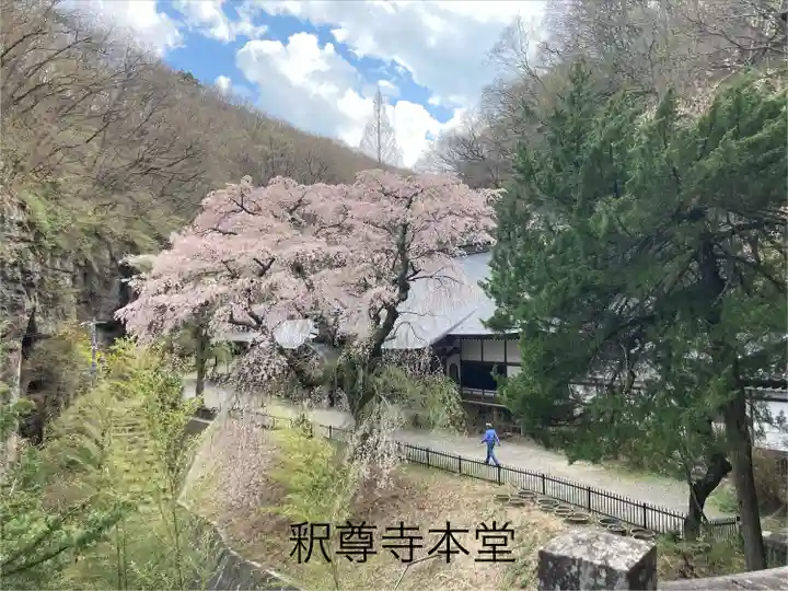 釋尊寺(長野県)