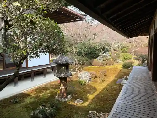 源光庵の{uncategorized: "未分類", other: "その他", undefined: "問題あり", building: "その他建物", grave: "お墓", sacred_gate: "鳥居", guardian: "狛犬", statue: "像", buddha: "仏像", history: "歴史", nature: "自然", garden: "庭園", animal: "動物", pagoda: "塔", temizu: "手水舎", mountain_gate: "山門・神門", sanctuary: "本殿・本堂", subordinate: "末社・摂社", art: "芸術", scenery: "景色", jizo: "地蔵", ema: "絵馬", goshuin: "御朱印", omikuji: "おみくじ", items: "授与品その他", amulet: "お守り", goshuincho: "御朱印帳", eats: "食事", festival: "お祭り", votive_dance: "神楽", shichigosan: "七五三参", wedding: "結婚式", experience: "体験その他", initially: "初詣", around: "周辺", anti_infection: "感染症対策"}