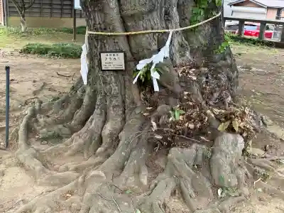 秋葉神社の{uncategorized: "未分類", other: "その他", undefined: "問題あり", building: "その他建物", grave: "お墓", sacred_gate: "鳥居", guardian: "狛犬", statue: "像", buddha: "仏像", history: "歴史", nature: "自然", garden: "庭園", animal: "動物", pagoda: "塔", temizu: "手水舎", mountain_gate: "山門・神門", sanctuary: "本殿・本堂", subordinate: "末社・摂社", art: "芸術", scenery: "景色", jizo: "地蔵", ema: "絵馬", goshuin: "御朱印", omikuji: "おみくじ", items: "授与品その他", amulet: "お守り", goshuincho: "御朱印帳", eats: "食事", festival: "お祭り", votive_dance: "神楽", shichigosan: "七五三参", wedding: "結婚式", experience: "体験その他", initially: "初詣", around: "周辺", anti_infection: "感染症対策"}