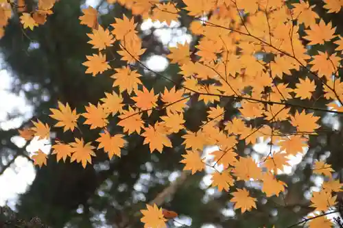 鹿島大神宮の自然