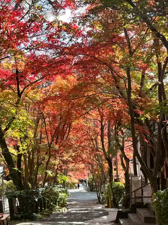神峯山寺(大阪府)