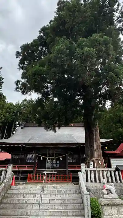 鼬幣稲荷神社(岩手県)
