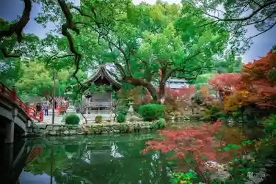太宰府天満宮の庭園