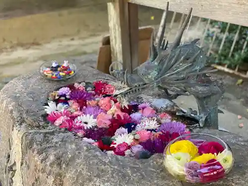 彌都加伎神社の手水舎