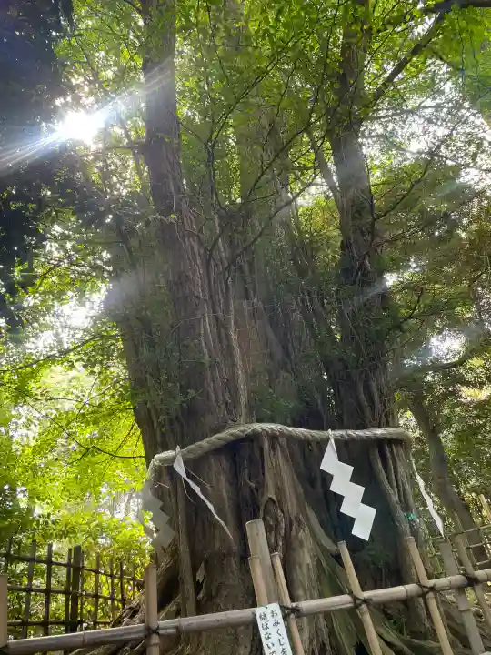 大國魂神社の{uncategorized: "未分類", other: "その他", undefined: "問題あり", building: "その他建物", grave: "お墓", sacred_gate: "鳥居", guardian: "狛犬", statue: "像", buddha: "仏像", history: "歴史", nature: "自然", garden: "庭園", animal: "動物", pagoda: "塔", temizu: "手水舎", mountain_gate: "山門・神門", sanctuary: "本殿・本堂", subordinate: "末社・摂社", art: "芸術", scenery: "景色", jizo: "地蔵", ema: "絵馬", goshuin: "御朱印", omikuji: "おみくじ", items: "授与品その他", amulet: "お守り", goshuincho: "御朱印帳", eats: "食事", festival: "お祭り", votive_dance: "神楽", shichigosan: "七五三参", wedding: "結婚式", experience: "体験その他", initially: "初詣", around: "周辺", anti_infection: "感染症対策"}
