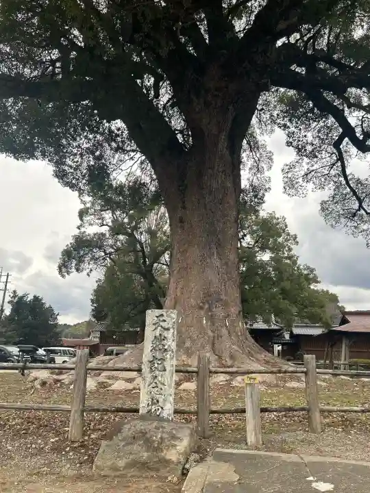 津江神社の{uncategorized: "未分類", other: "その他", undefined: "問題あり", building: "その他建物", grave: "お墓", sacred_gate: "鳥居", guardian: "狛犬", statue: "像", buddha: "仏像", history: "歴史", nature: "自然", garden: "庭園", animal: "動物", pagoda: "塔", temizu: "手水舎", mountain_gate: "山門・神門", sanctuary: "本殿・本堂", subordinate: "末社・摂社", art: "芸術", scenery: "景色", jizo: "地蔵", ema: "絵馬", goshuin: "御朱印", omikuji: "おみくじ", items: "授与品その他", amulet: "お守り", goshuincho: "御朱印帳", eats: "食事", festival: "お祭り", votive_dance: "神楽", shichigosan: "七五三参", wedding: "結婚式", experience: "体験その他", initially: "初詣", around: "周辺", anti_infection: "感染症対策"}