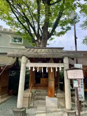 秋葉神社（川越熊野神社境内）の{uncategorized: "未分類", other: "その他", undefined: "問題あり", building: "その他建物", grave: "お墓", sacred_gate: "鳥居", guardian: "狛犬", statue: "像", buddha: "仏像", history: "歴史", nature: "自然", garden: "庭園", animal: "動物", pagoda: "塔", temizu: "手水舎", mountain_gate: "山門・神門", sanctuary: "本殿・本堂", subordinate: "末社・摂社", art: "芸術", scenery: "景色", jizo: "地蔵", ema: "絵馬", goshuin: "御朱印", omikuji: "おみくじ", items: "授与品その他", amulet: "お守り", goshuincho: "御朱印帳", eats: "食事", festival: "お祭り", votive_dance: "神楽", shichigosan: "七五三参", wedding: "結婚式", experience: "体験その他", initially: "初詣", around: "周辺", anti_infection: "感染症対策"}
