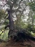 八雲神社(千葉県)