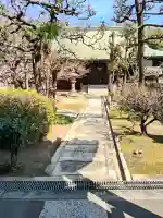 萬福寺の{uncategorized: "未分類", other: "その他", undefined: "問題あり", building: "その他建物", grave: "お墓", sacred_gate: "鳥居", guardian: "狛犬", statue: "像", buddha: "仏像", history: "歴史", nature: "自然", garden: "庭園", animal: "動物", pagoda: "塔", temizu: "手水舎", mountain_gate: "山門・神門", sanctuary: "本殿・本堂", subordinate: "末社・摂社", art: "芸術", scenery: "景色", jizo: "地蔵", ema: "絵馬", goshuin: "御朱印", omikuji: "おみくじ", items: "授与品その他", amulet: "お守り", goshuincho: "御朱印帳", eats: "食事", festival: "お祭り", votive_dance: "神楽", shichigosan: "七五三参", wedding: "結婚式", experience: "体験その他", initially: "初詣", around: "周辺", anti_infection: "感染症対策"}