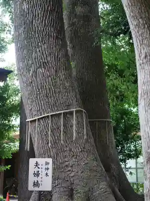 鳩ヶ谷氷川神社のその他建物
