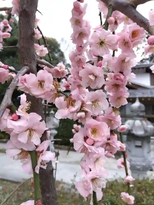 伊和志津神社(兵庫県)