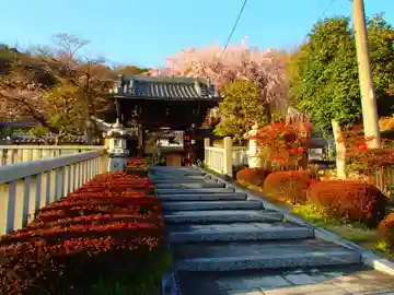大雲寺の山門・神門