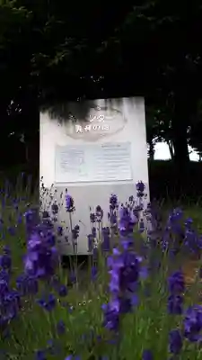 札幌南沢神社の周辺