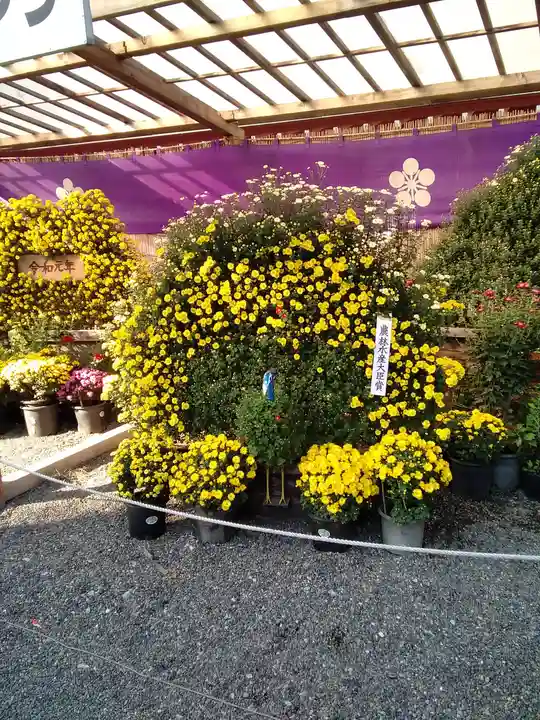 亀戸天神社のその他建物