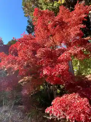 常樂寺(滋賀県)